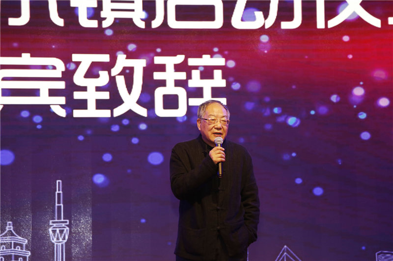 丝路文化小镇项目启动仪式 (8)