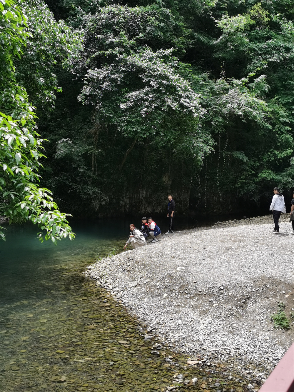 IMG_20220515_133126 IMG_20220515_133126