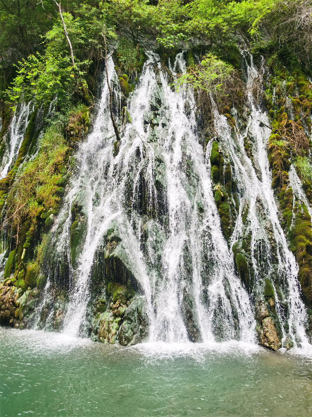 IMG_20220515_132132 IMG_20220515_132132