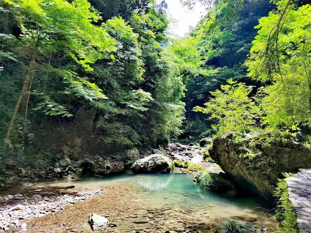 微信图片_20220516160409 微信图片_20220516160409