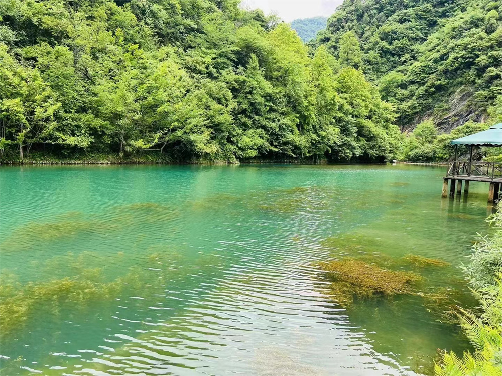 微信图片_20220516160422 微信图片_20220516160422