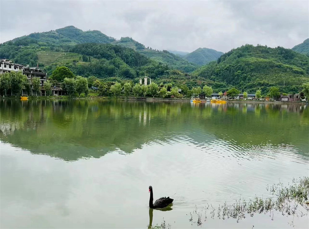 微信图片_20220516160439 微信图片_20220516160439